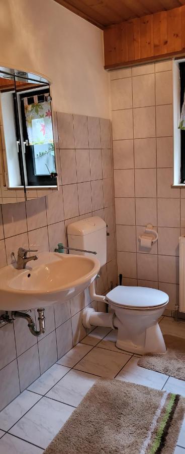 Ferienwohnung Zum Rheinblick Kestert Exteriér fotografie