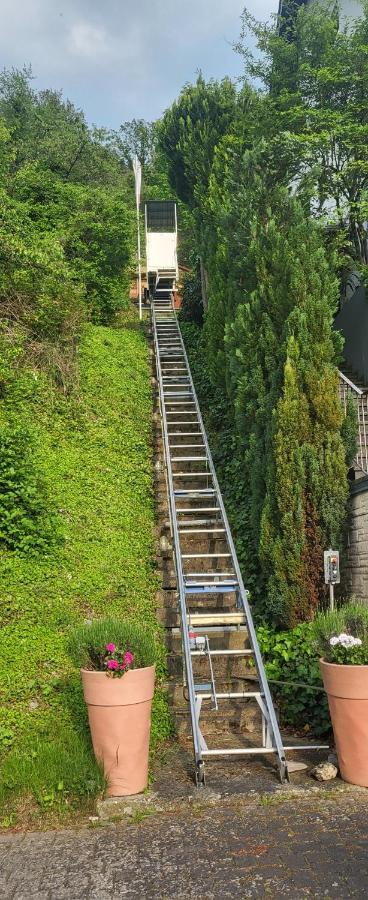 Ferienwohnung Zum Rheinblick Kestert Exteriér fotografie